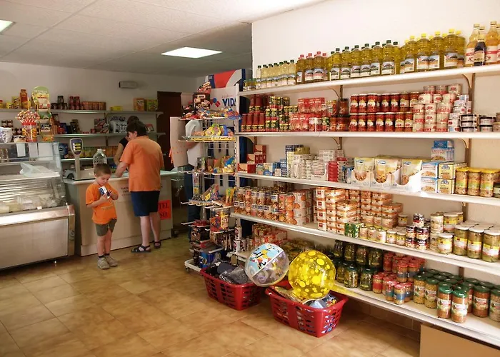 Kamp alanı Camping Ainsa Aínsa